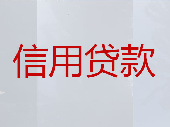 日土县正规贷款公司